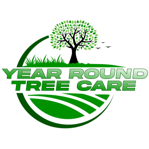 Tree Removal Minneapolis