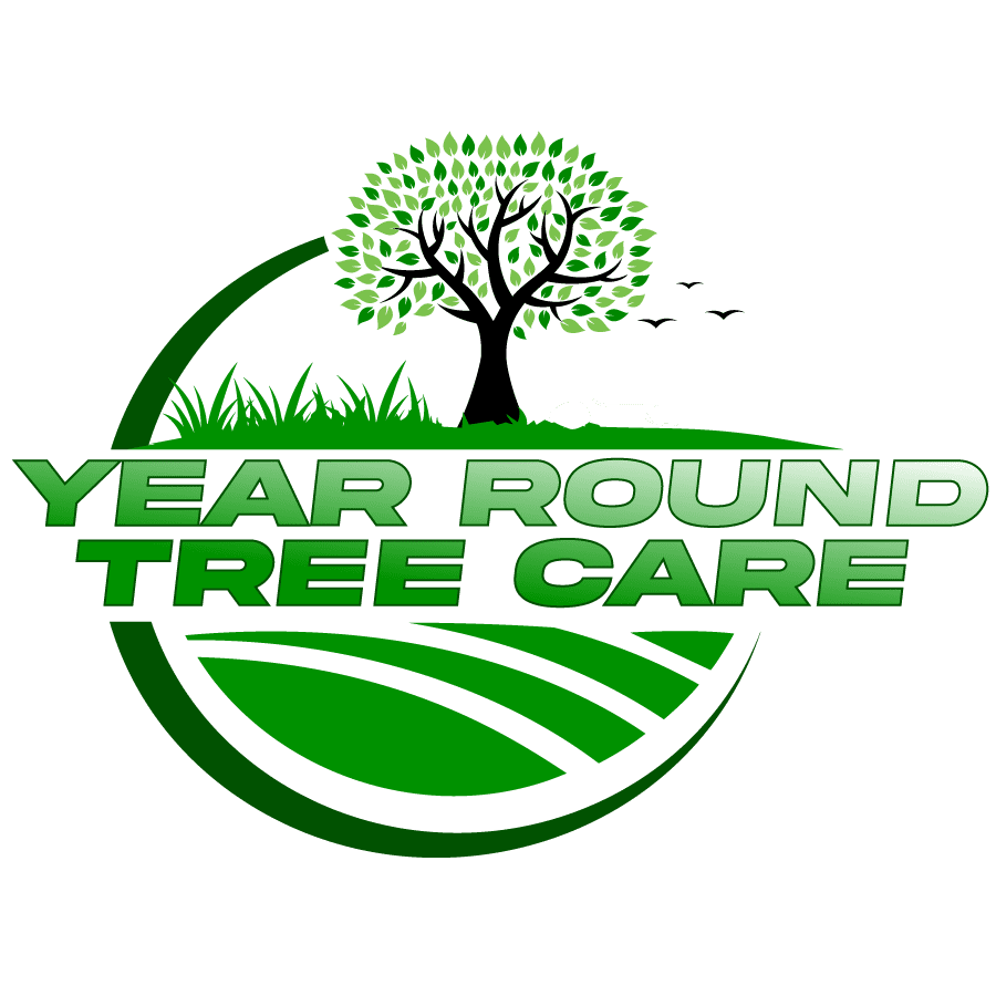Tree Removal Minneapolis